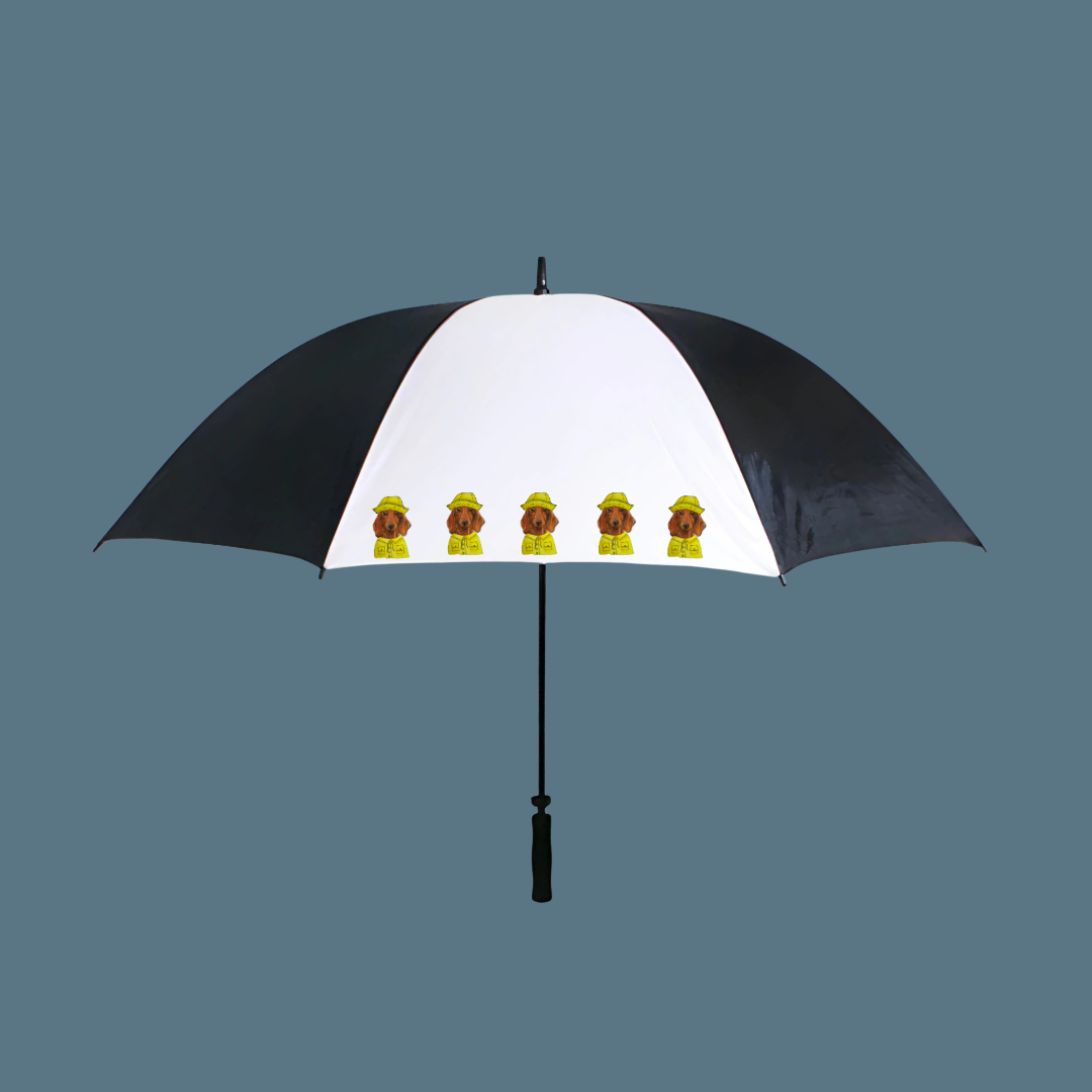 Dachshund Downpour Defender – Stay Dry in Style