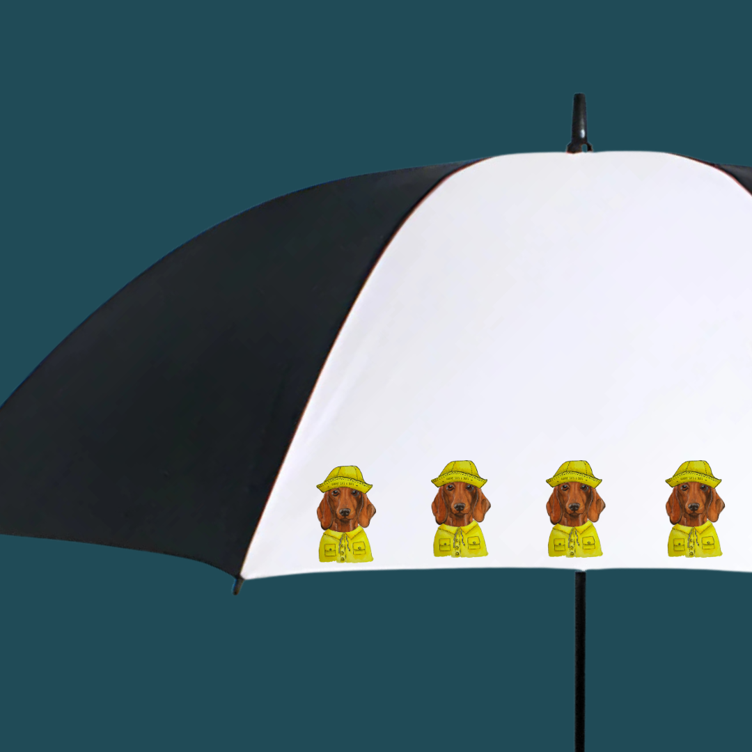 Dachshund Downpour Defender – Stay Dry in Style