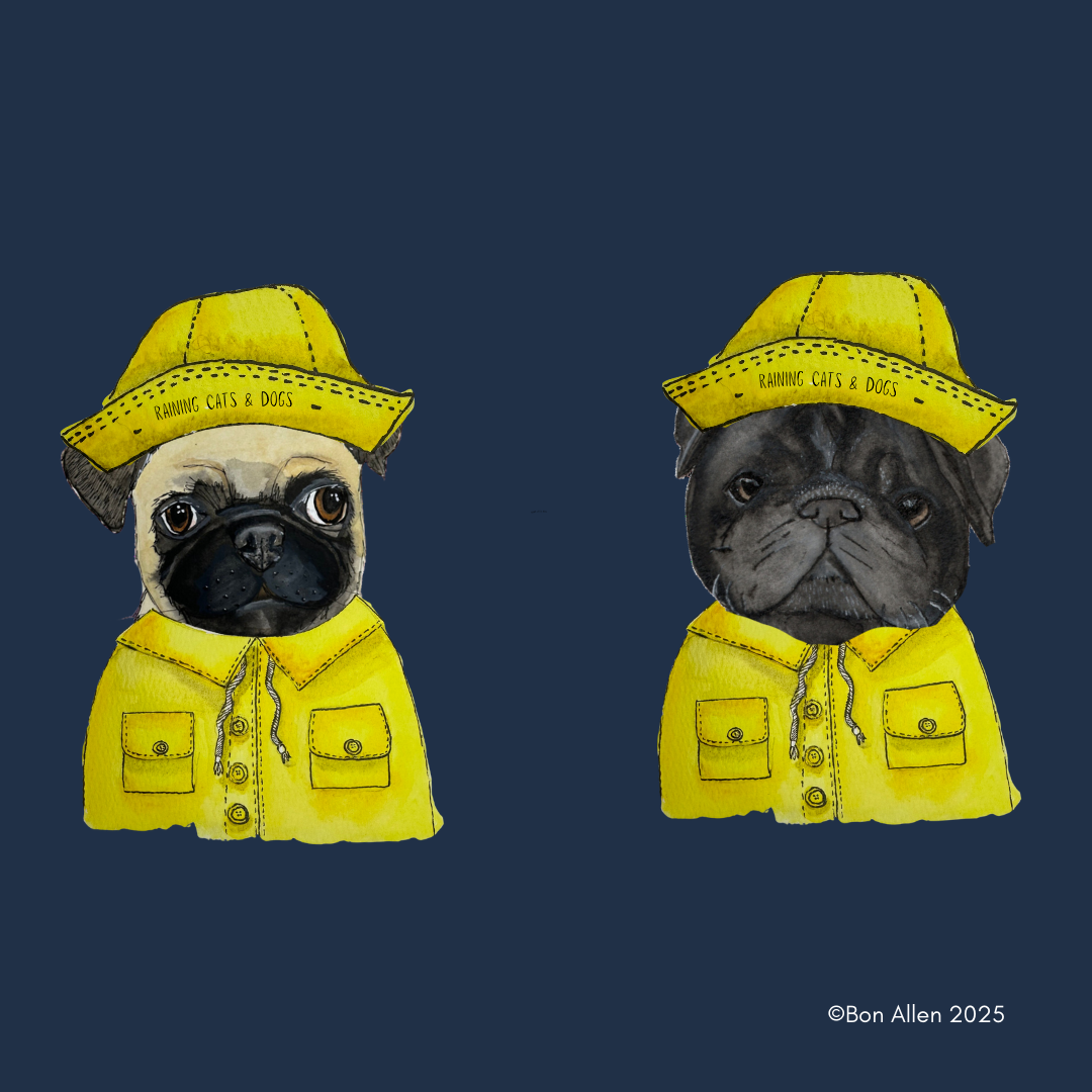 Pug & Pour – The Ultimate Rainy Day Companion!