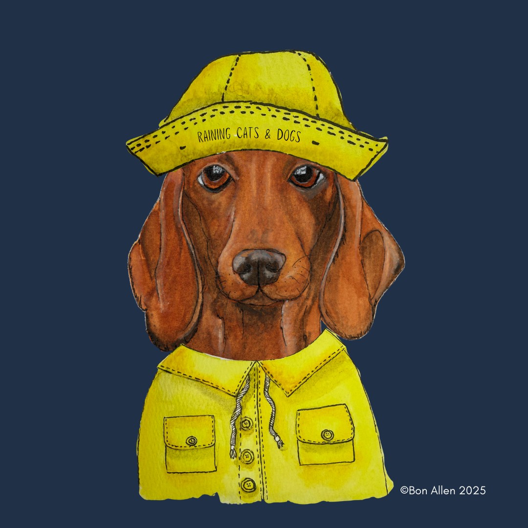 Dachshund Downpour Defender – Stay Dry in Style